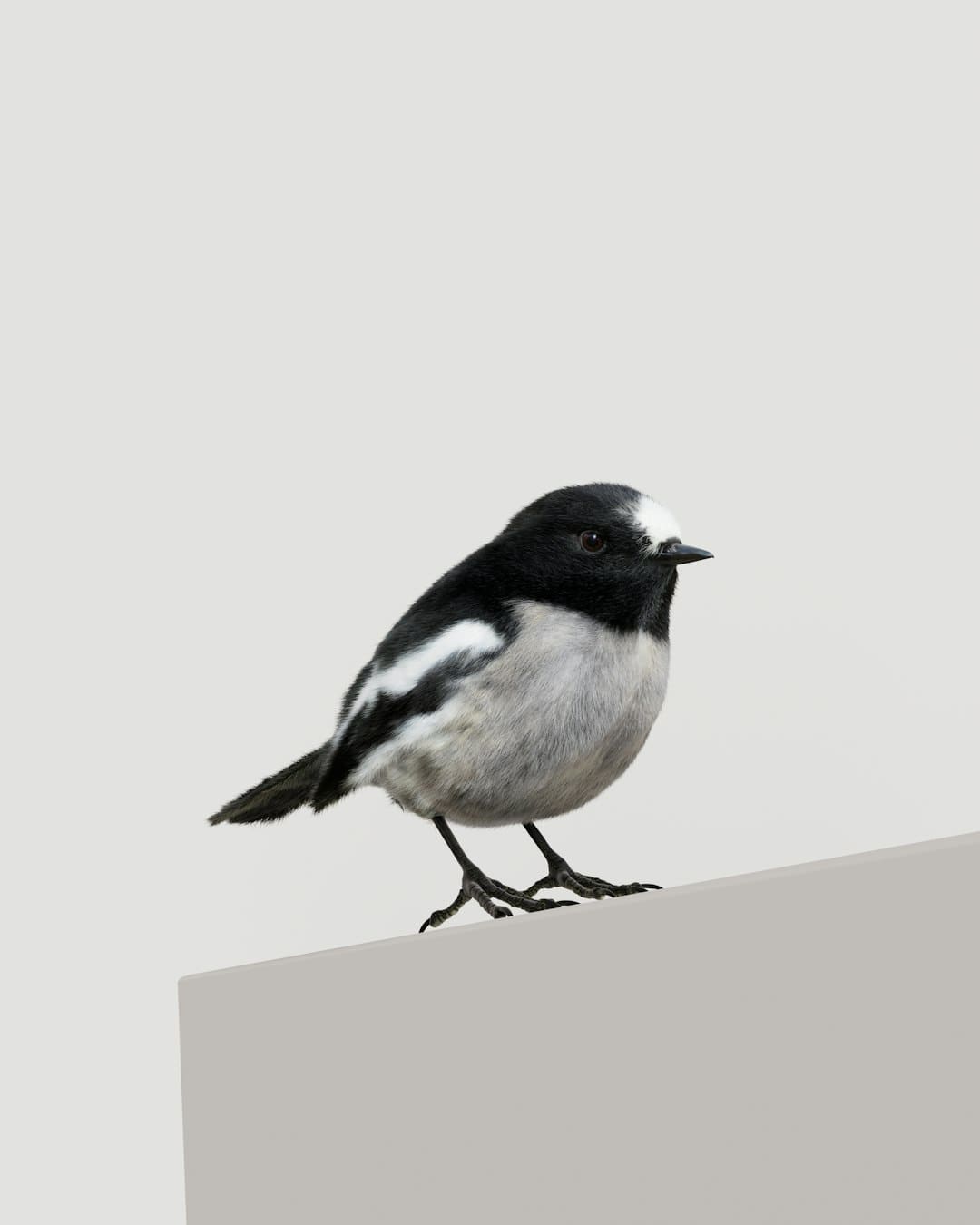 http://n.sinaimg.cn/front/w690h634/20180311/Y5Y2-fxpwyhw9957824.jpg?zdy
